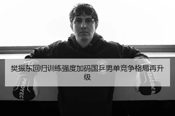 樊振东回归训练强度加码国乒男单竞争格局再升级